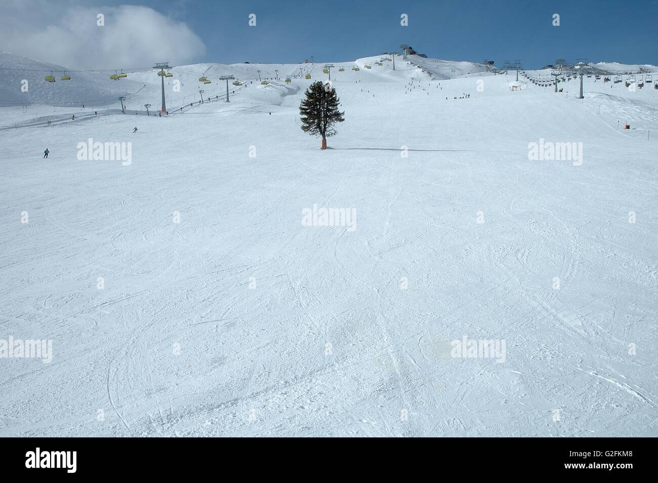 Seul arbre dans la pente en Autriche dans la vallée Zillertal Kaltenbach à proximité Banque D'Images