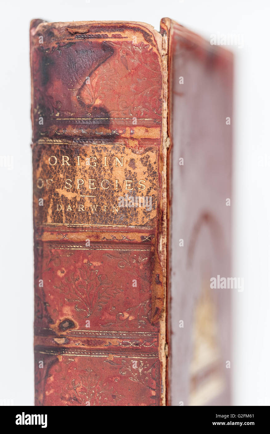 L'origine des espèces par Charles Darwin 1906 Livre Leatherbound Banque D'Images