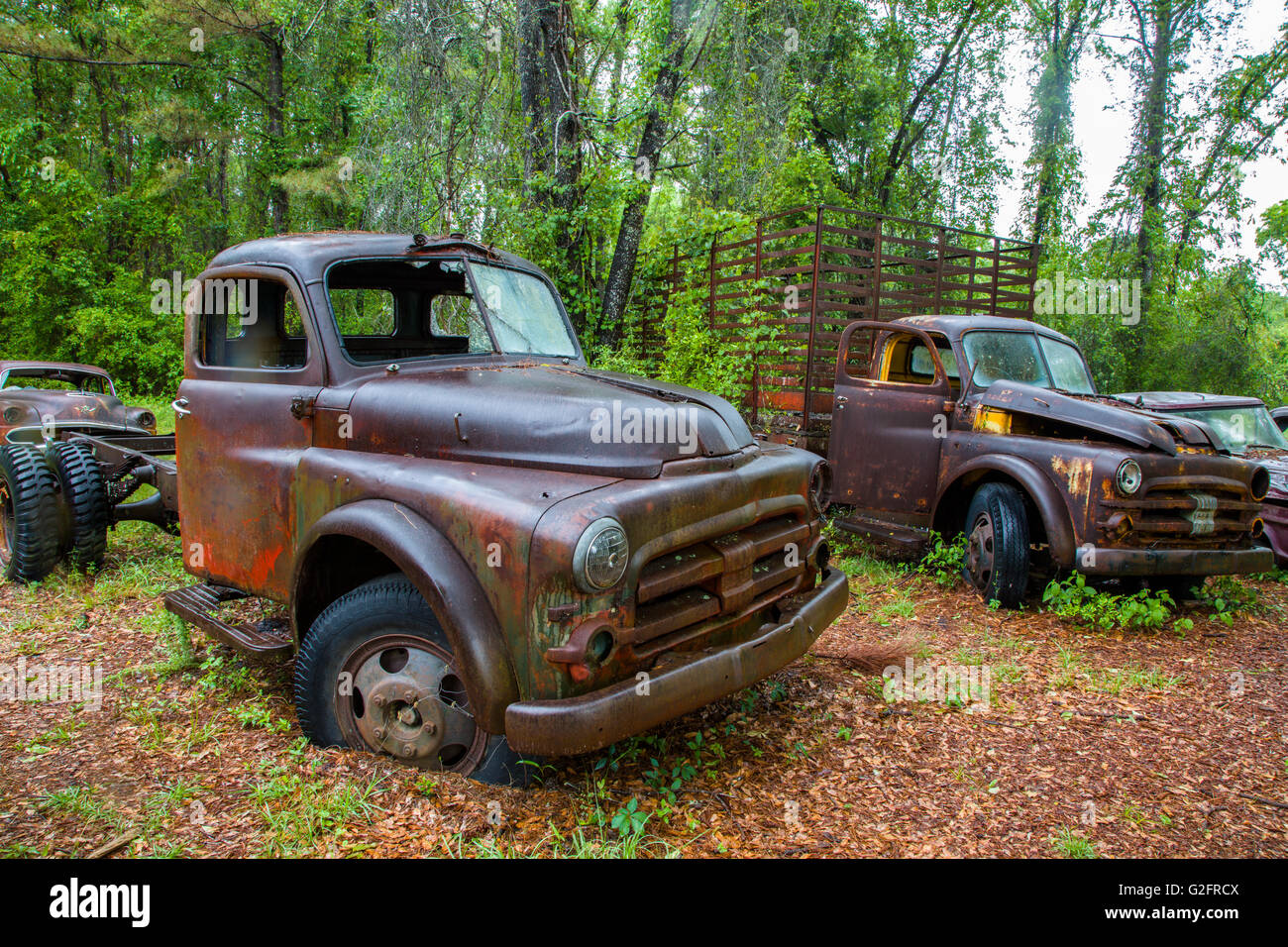 Vieilles voitures abandonnées et les camions rouillés en Floride Crawfordville Banque D'Images
