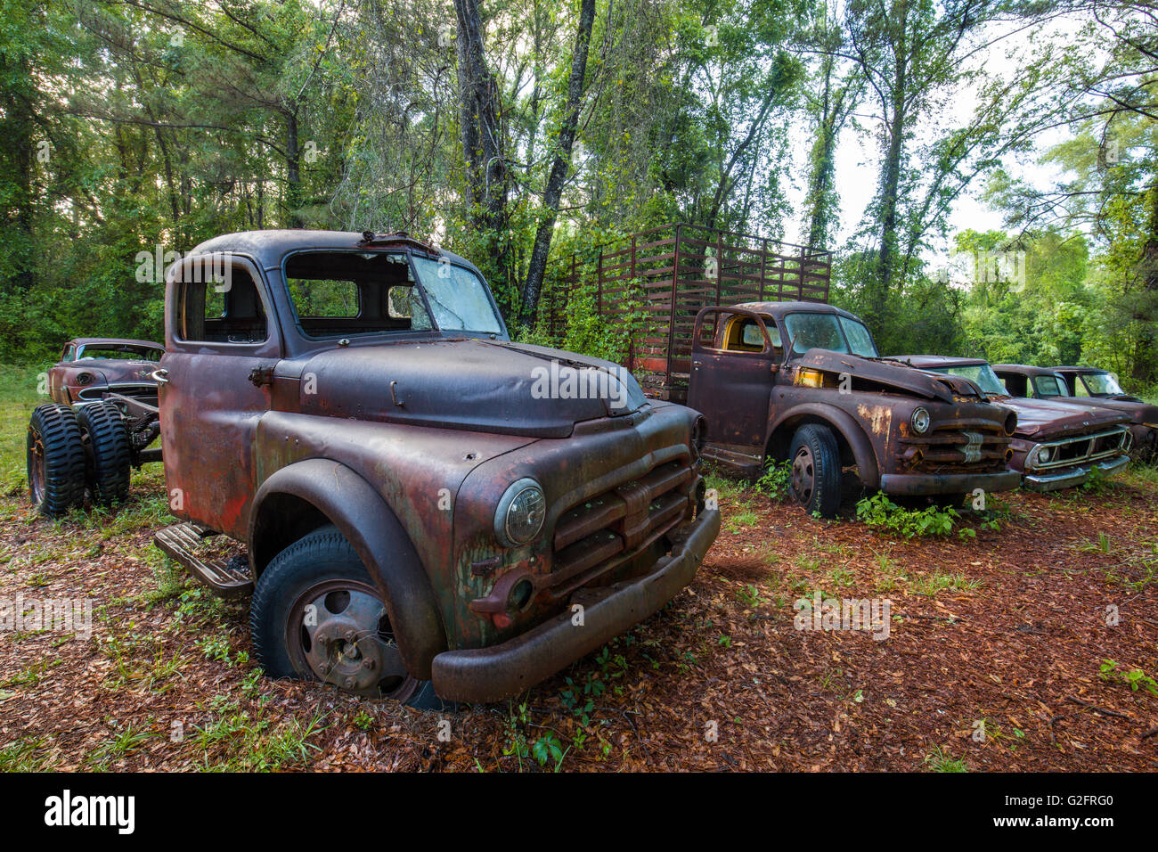 Vieilles voitures abandonnées et les camions rouillés en Floride Crawfordville Banque D'Images