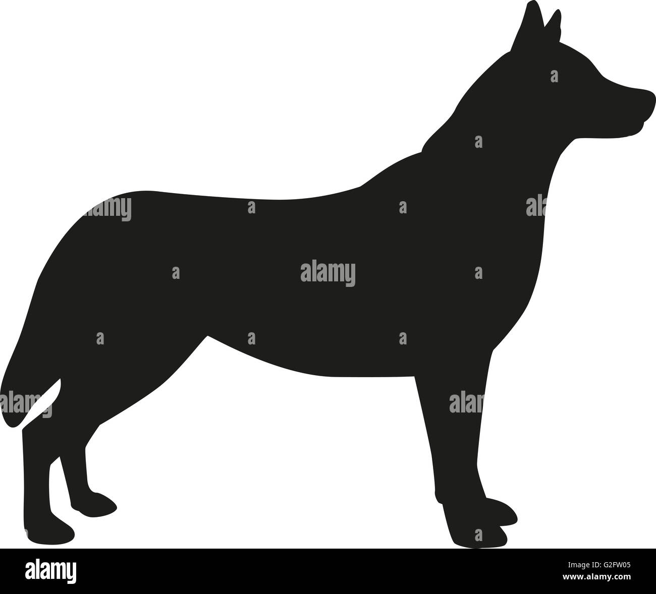 Silhouette chien Husky Banque D'Images