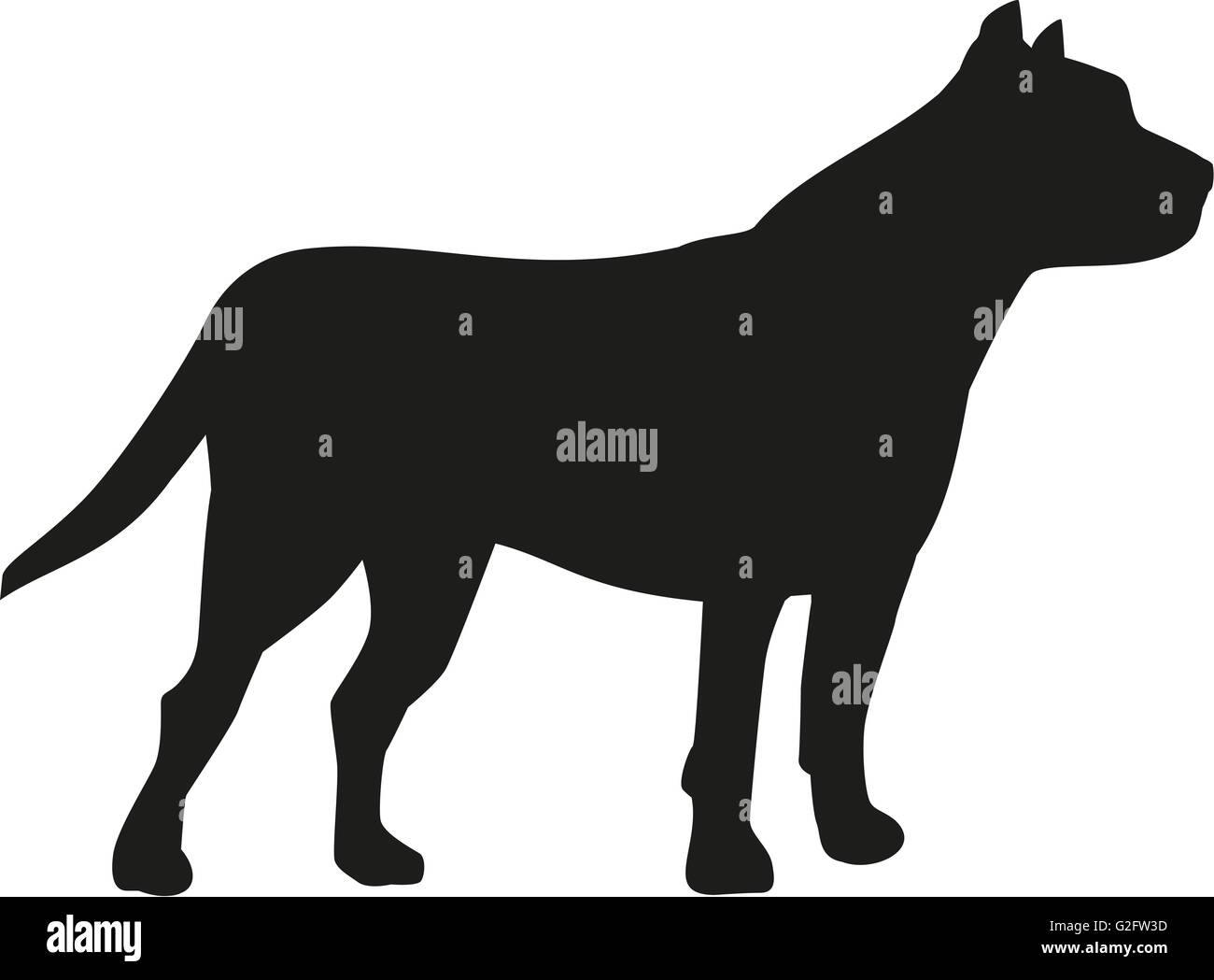 Pit Bull dog silhouette Banque D'Images