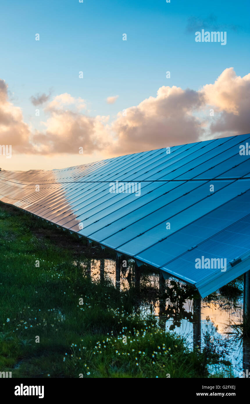 Panneaux solaires avec ciel ciel nuageux pour l'énergie de remplacement Banque D'Images