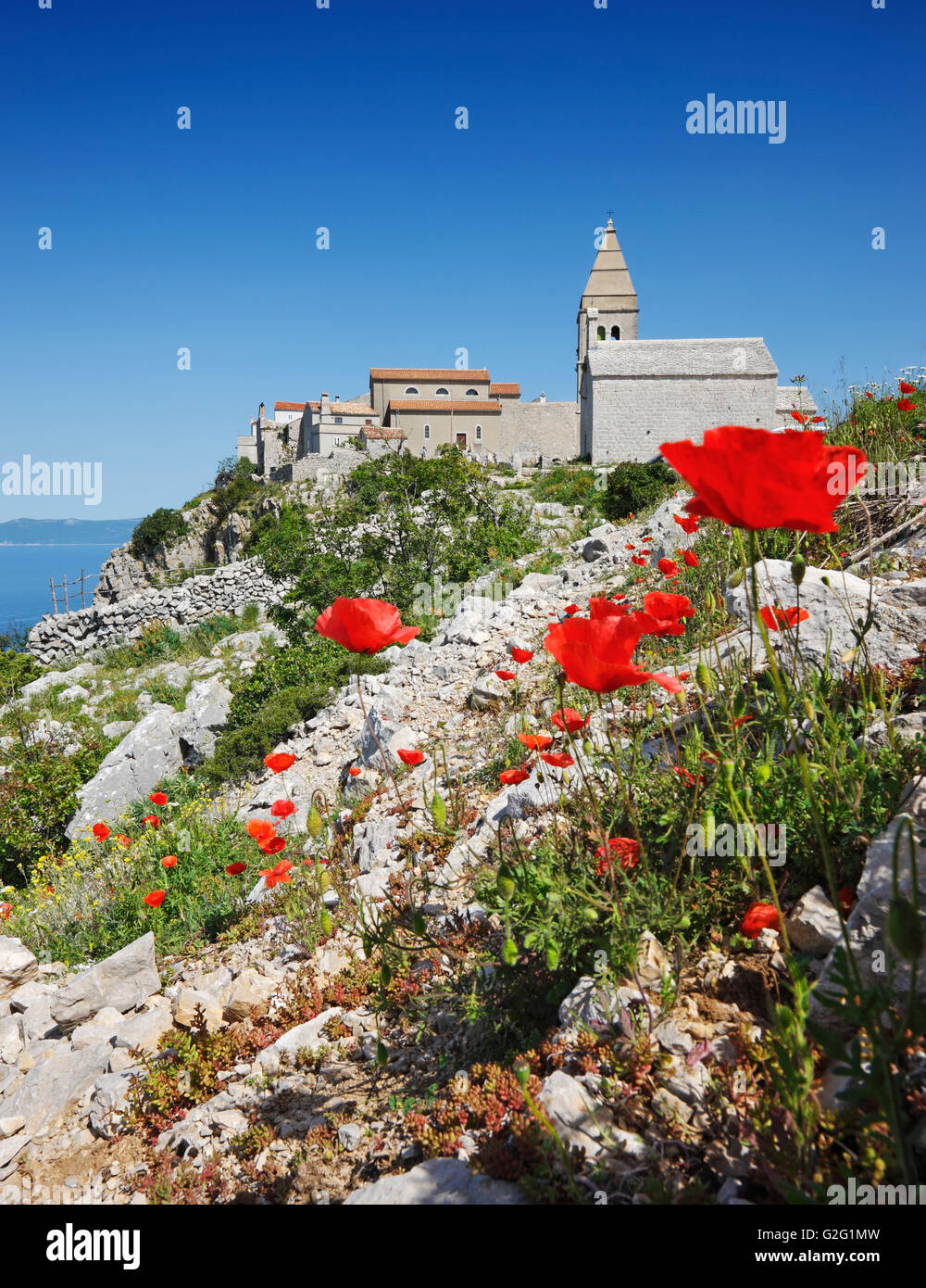 Les collines de Lubenice, ville de l'île de Cres avec coquelicot fleurs à l'avant Banque D'Images