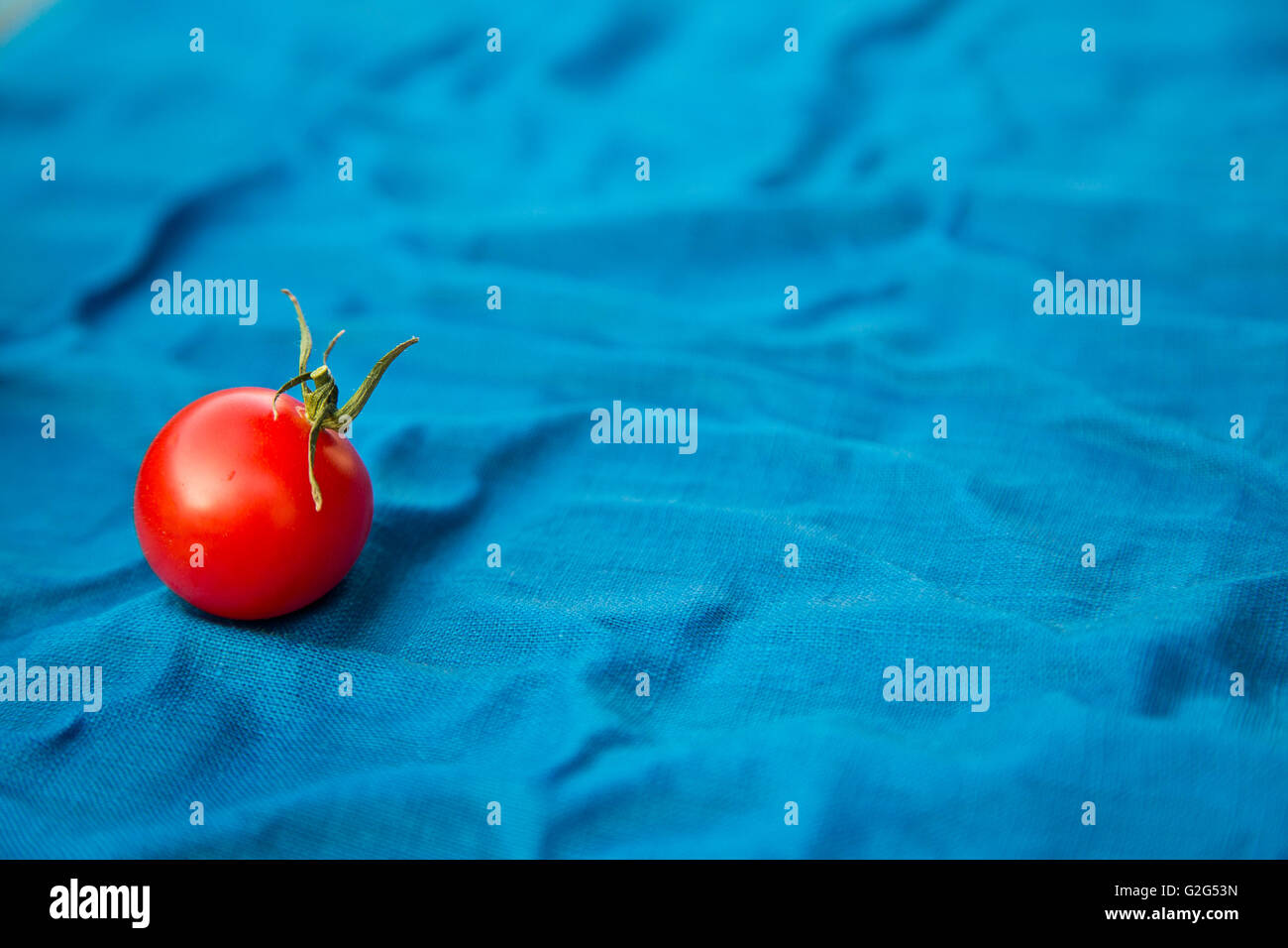 Une tomate cerise sur textile bleu vif Banque D'Images