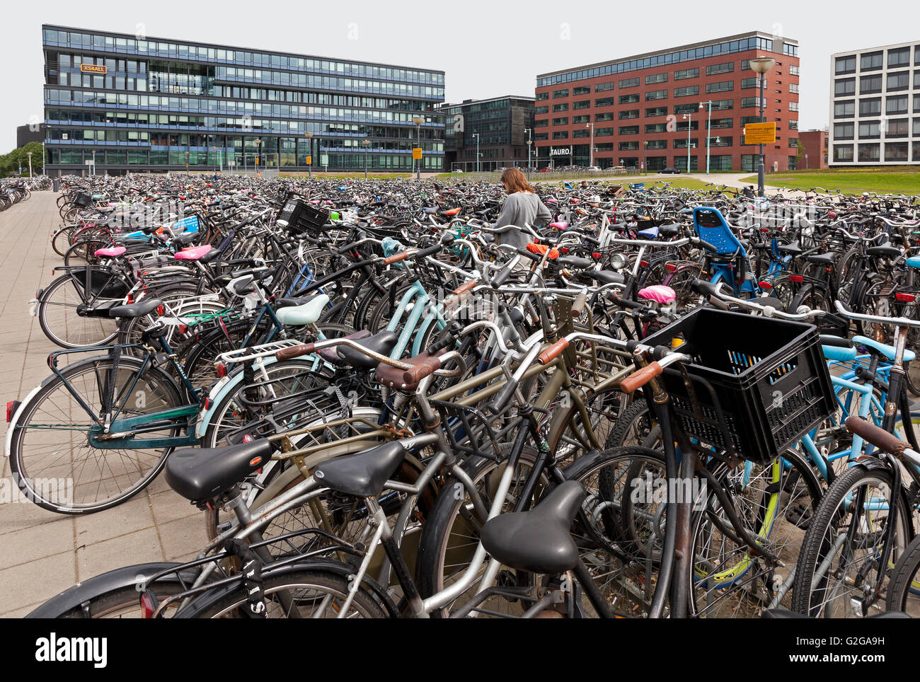 Une masse de vélos garés, Amsterdam Banque D'Images