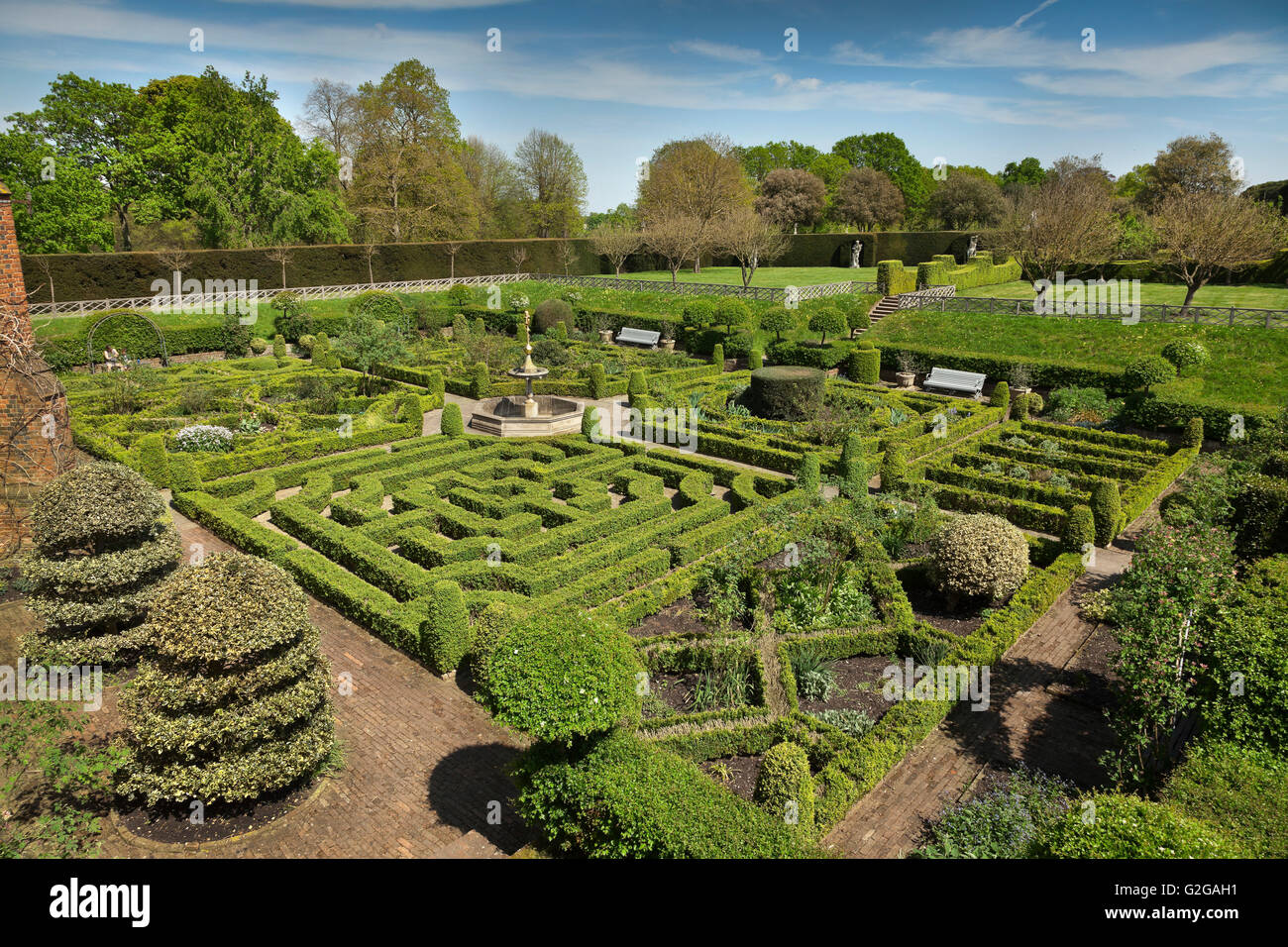 Fort orné, couverture Hertfodshire, Hatfield House, jardin détail noeud coulé bas à labyrinthe de couverture de buis Banque D'Images