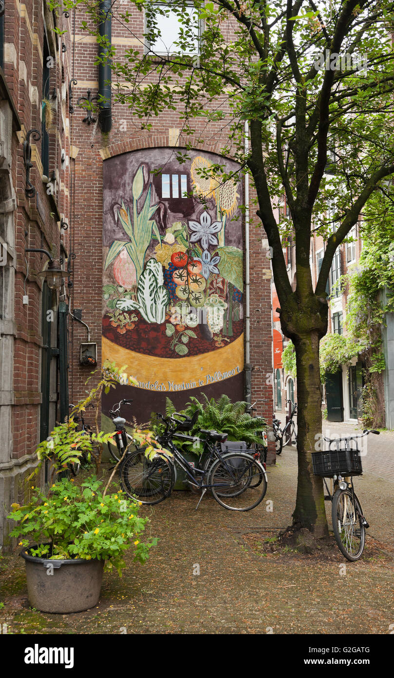 La peinture murale de la rue Nelson Mandela's cellule de prison avec les légumes qu'il a grandi en prison, Amsterdam, Pays-Bas Banque D'Images