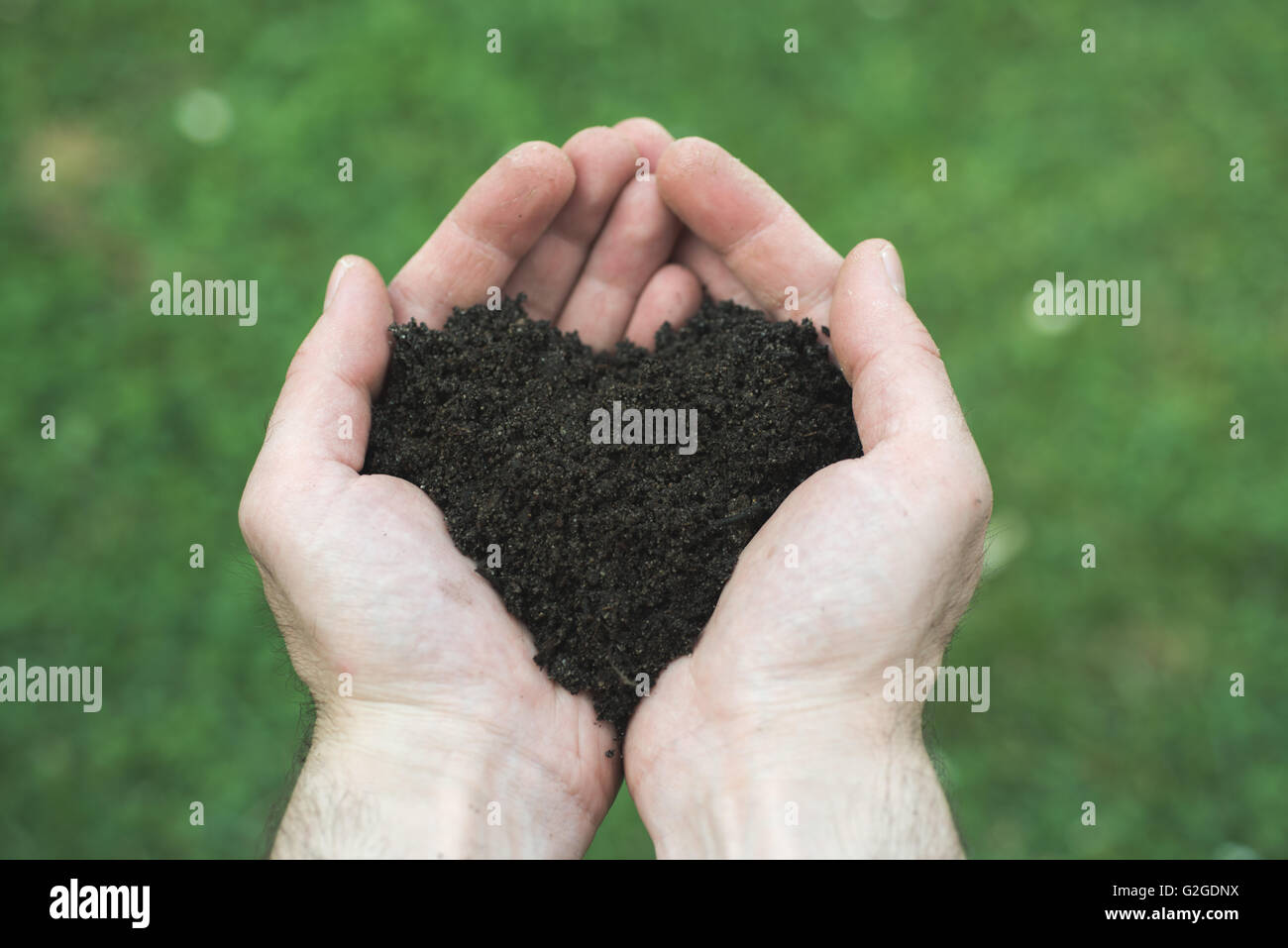 Man's hands ho0lds du sol en forme de coeur Banque D'Images