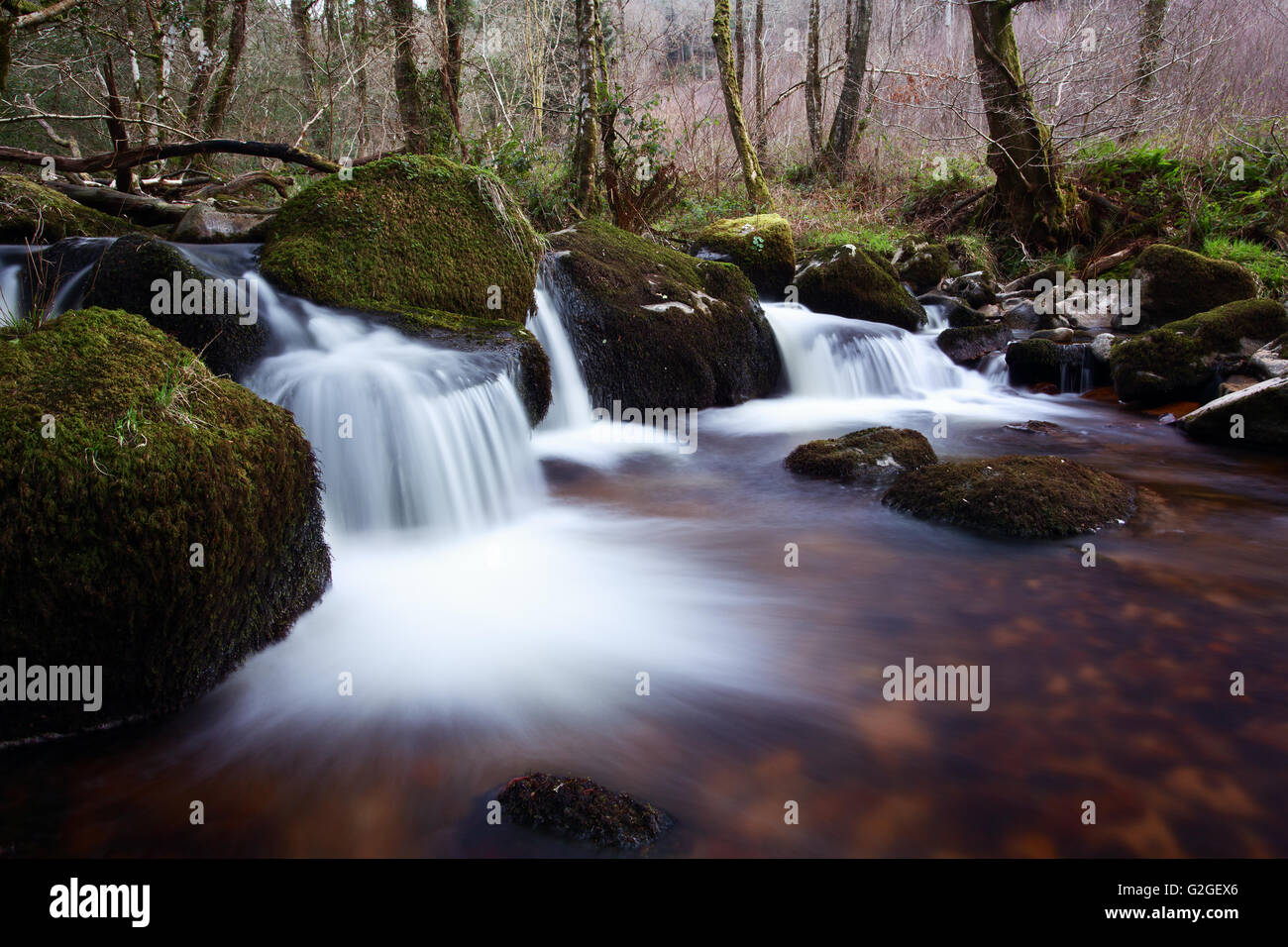 Une petite chute sur la rivière Bovey dans le Dartmoor National Park devon Uk Banque D'Images