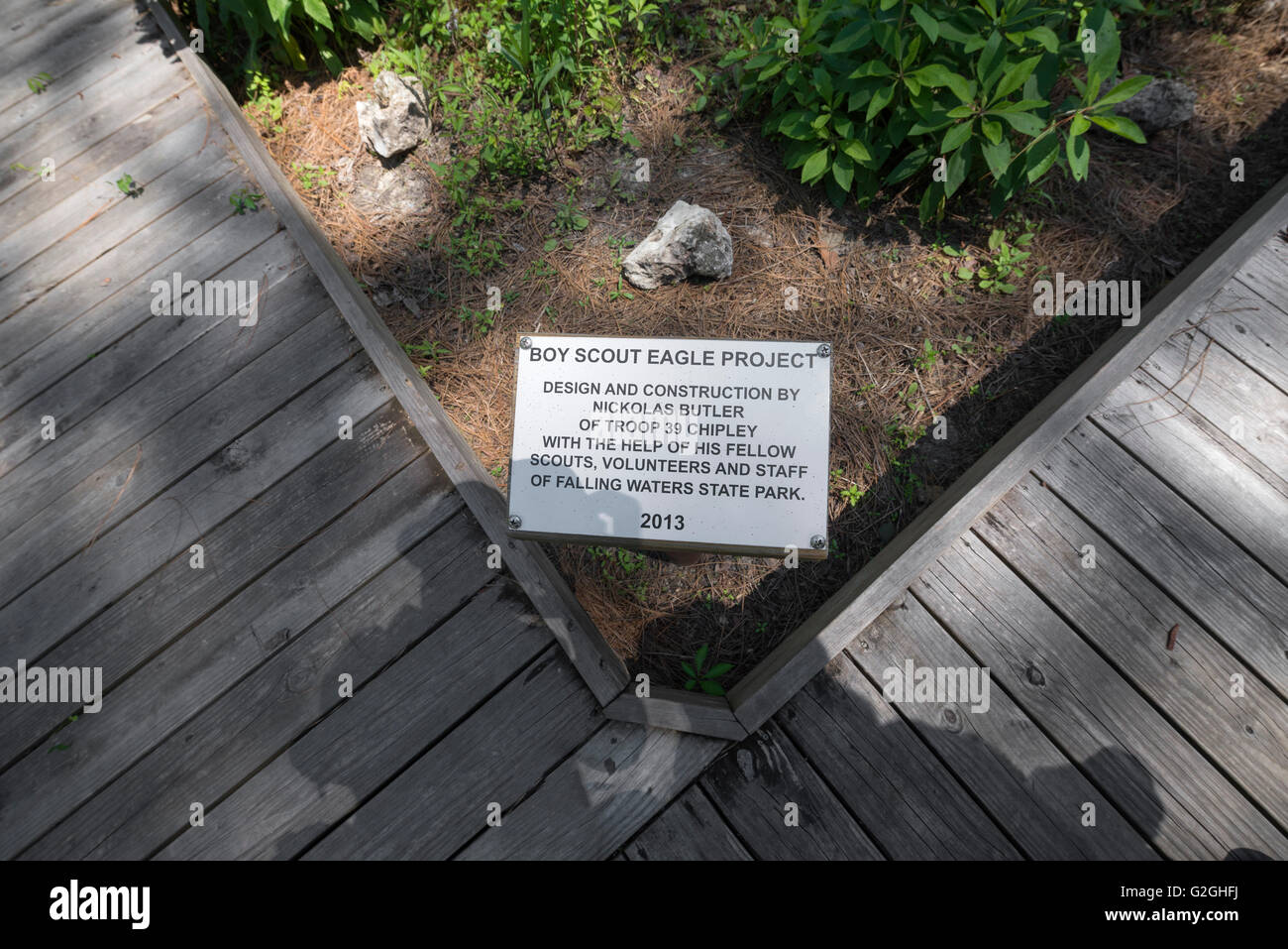 Parc d'état de Falling Waters est situé à Chipley, en Floride, et dispose d'une cascade de 73 mètres, la plus haute de l'état. Banque D'Images