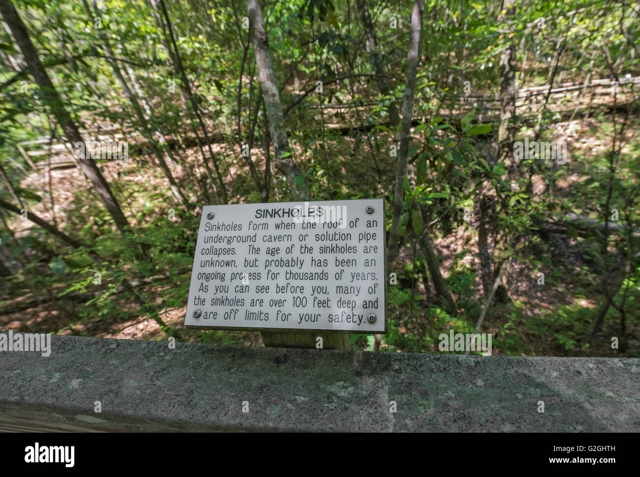 Parc d'état de Falling Waters est situé à Chipley, en Floride, et dispose d'une cascade de 73 mètres, la plus haute de l'état. Banque D'Images