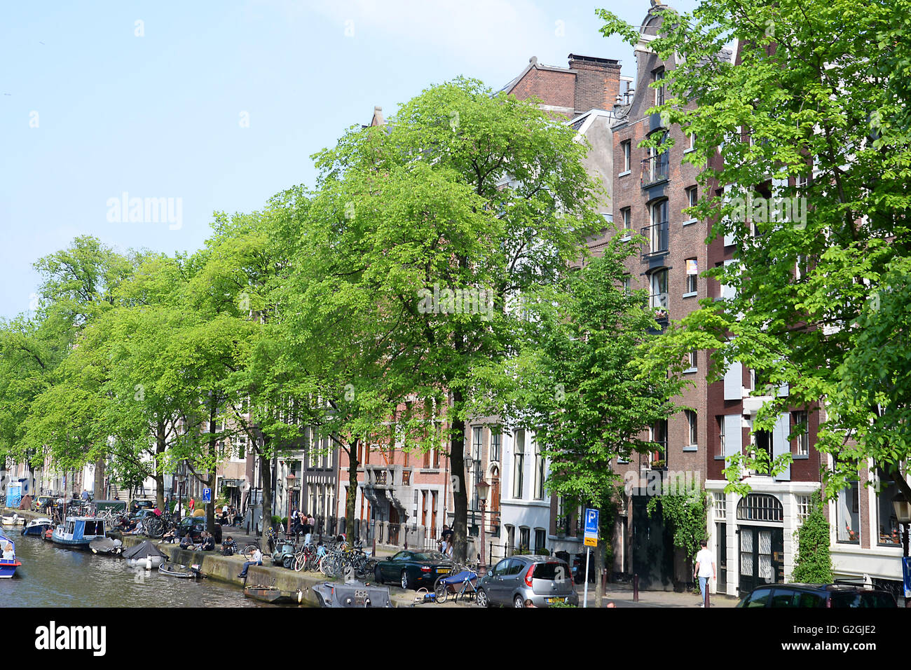 Une belle route résidentielle bordée d'arbres dans le centre-ville d'Amsterdam. Banque D'Images