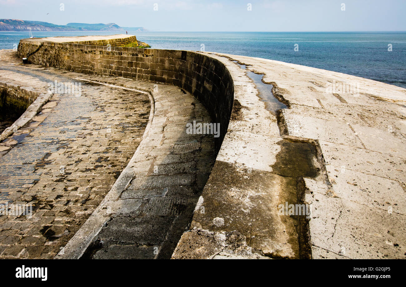 Courbes sinueuses de la Cobb à Lyme Regis sur la côte jurassique du Dorset UK Banque D'Images