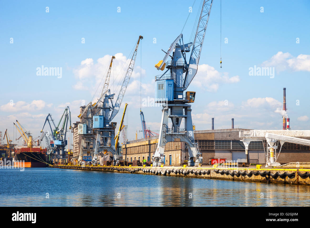 Vue de port avec des grues de quai à Gdansk, Pologne. Banque D'Images