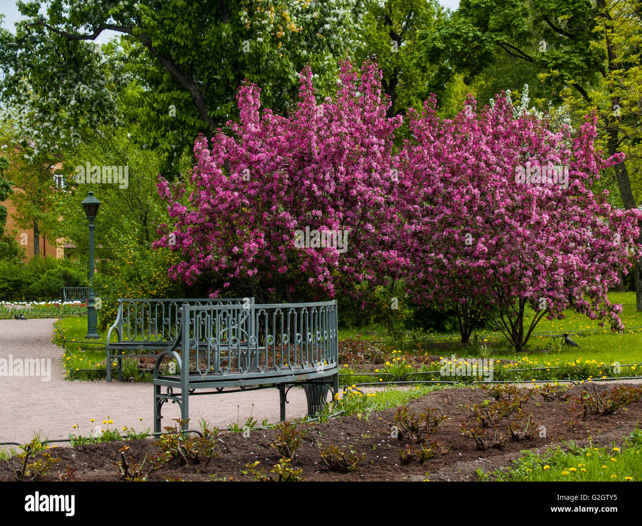 Polish Spring Park en mai Banque D'Images