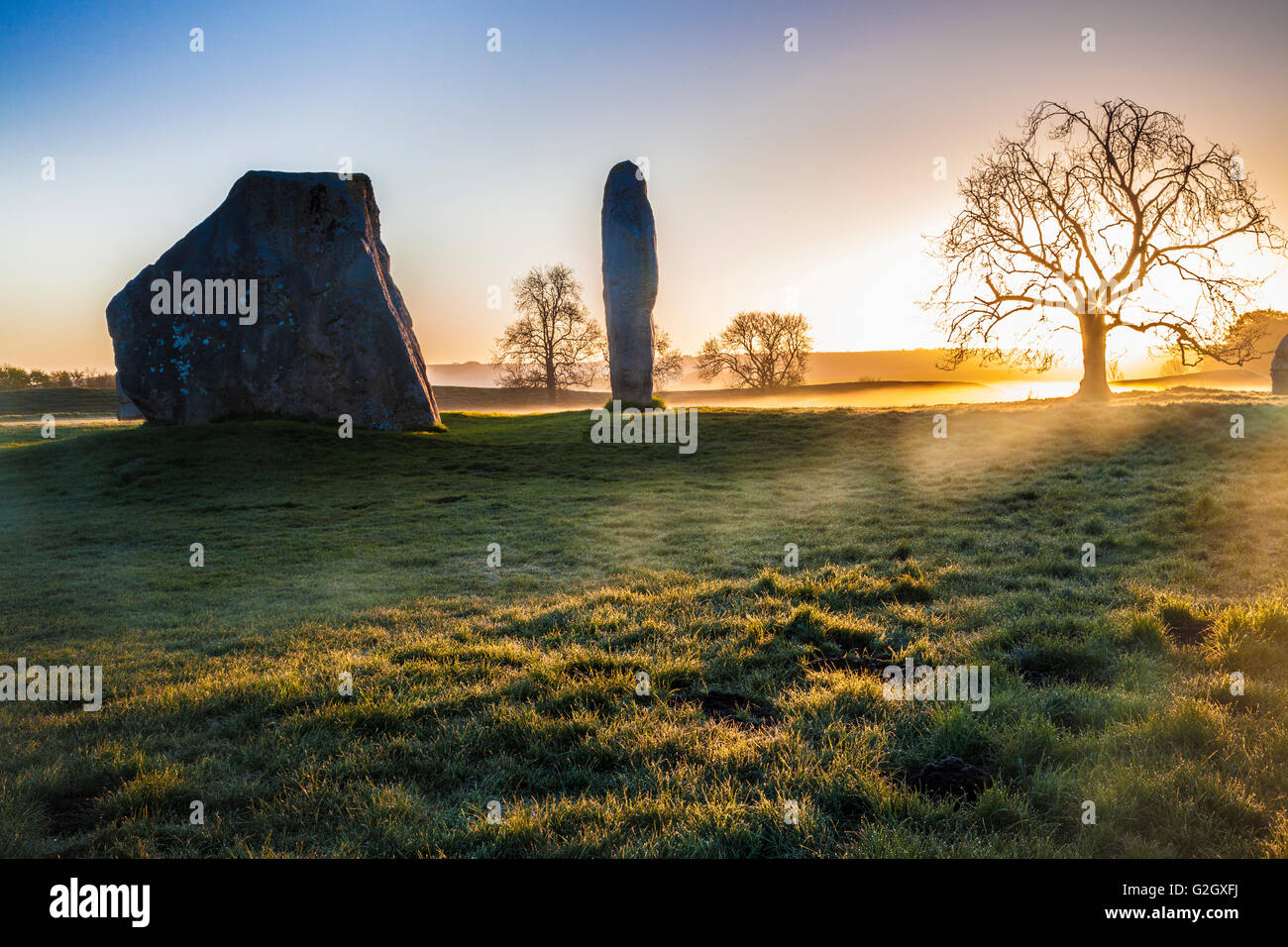 Pierres Sarsen au lever du soleil à Avebury, dans le Wiltshire. Banque D'Images