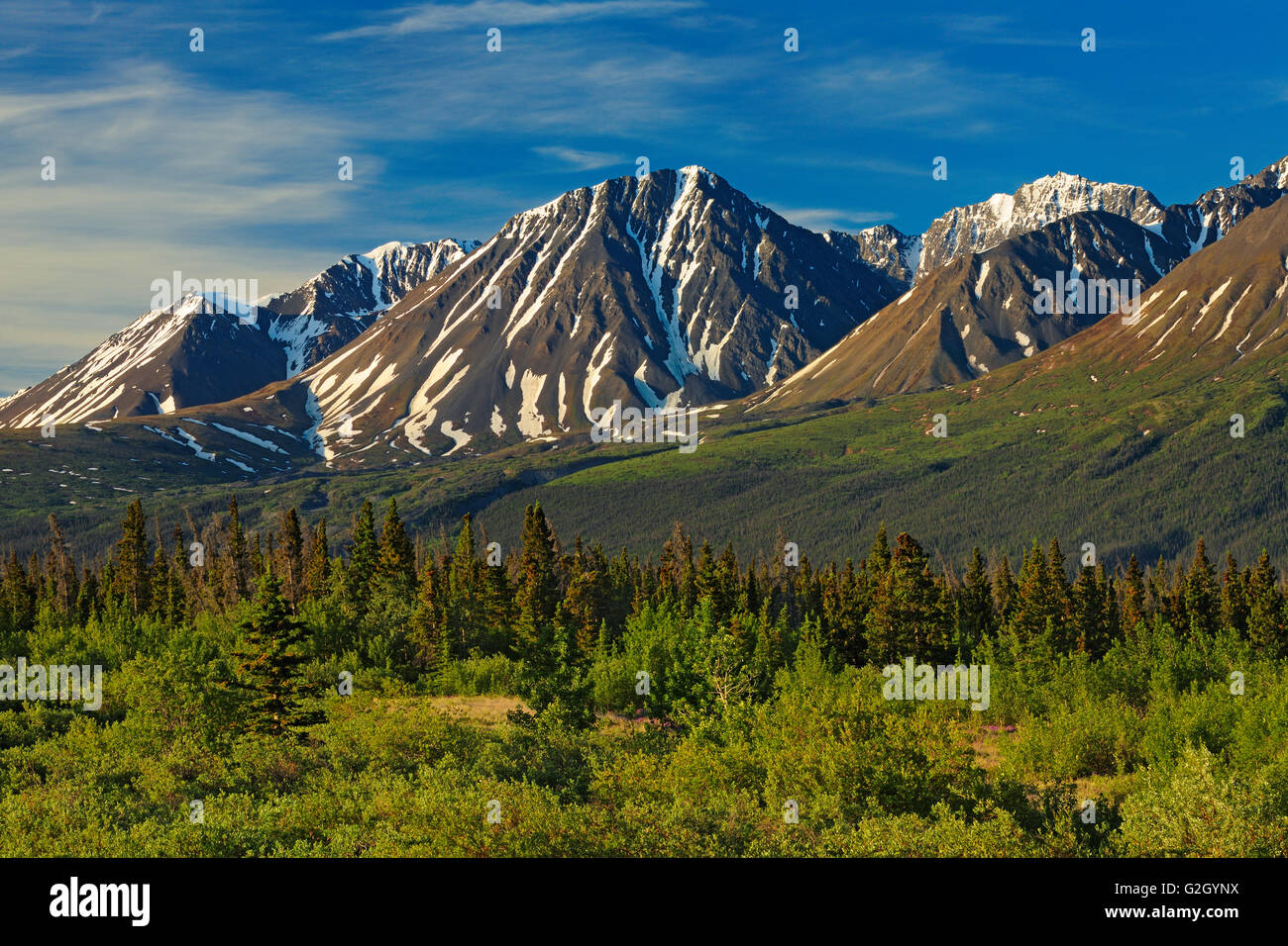 Monts St.-Élie, un sous-groupe de la côte du Pacifique s'étend de Haines Junction, Yukon Canada Banque D'Images