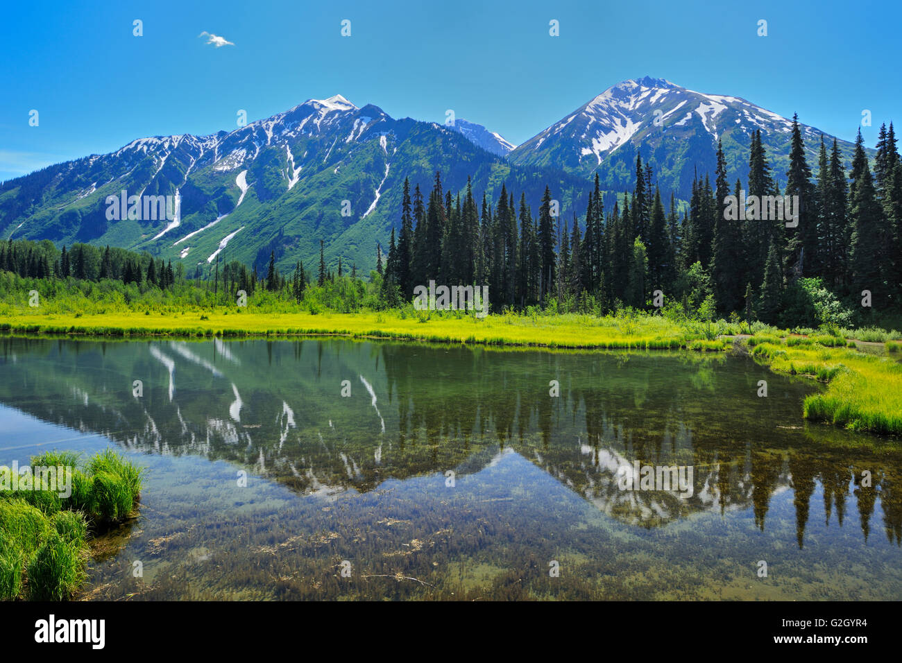 Réflexion sur la montagne la route Stewart Cassiar près de Bell ll British Columbia Canada Banque D'Images