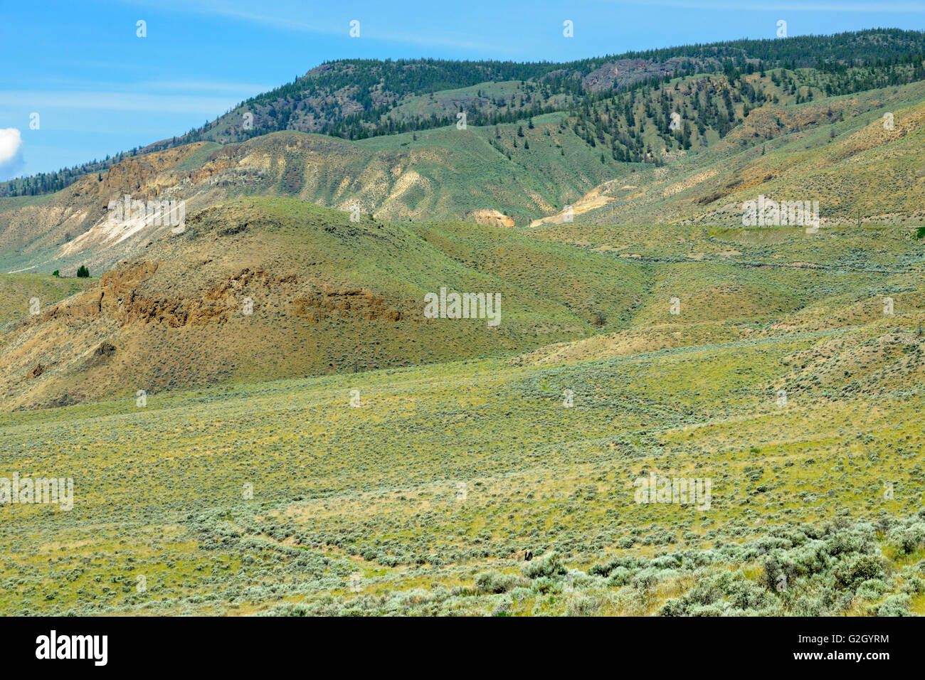 Paysage aride de l'intérieur de la Colombie-Britannique Canada Banque D'Images