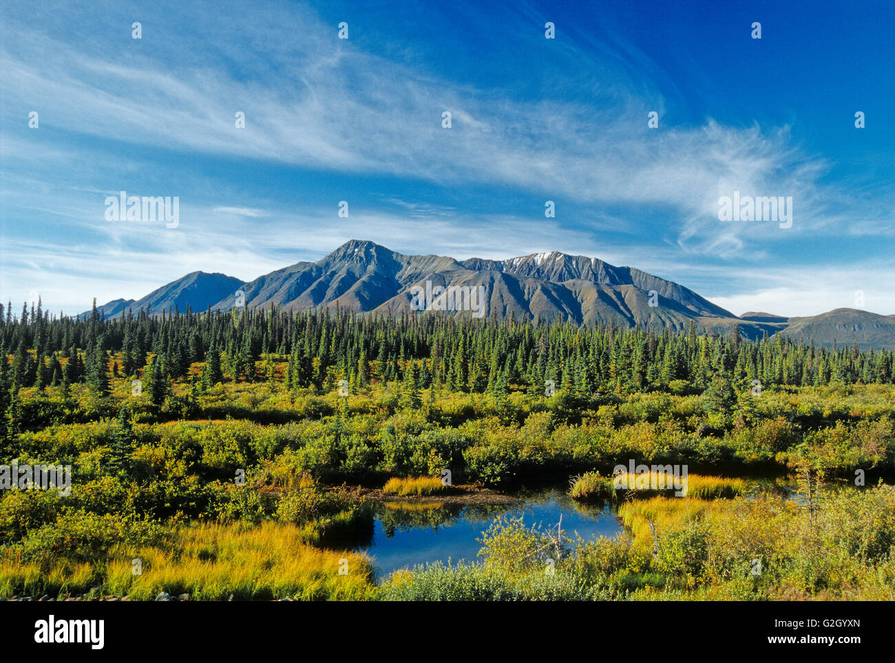 montagnes-st-et-la-for-t-bor-ale-du-yukon-canada-parc-national-kluane