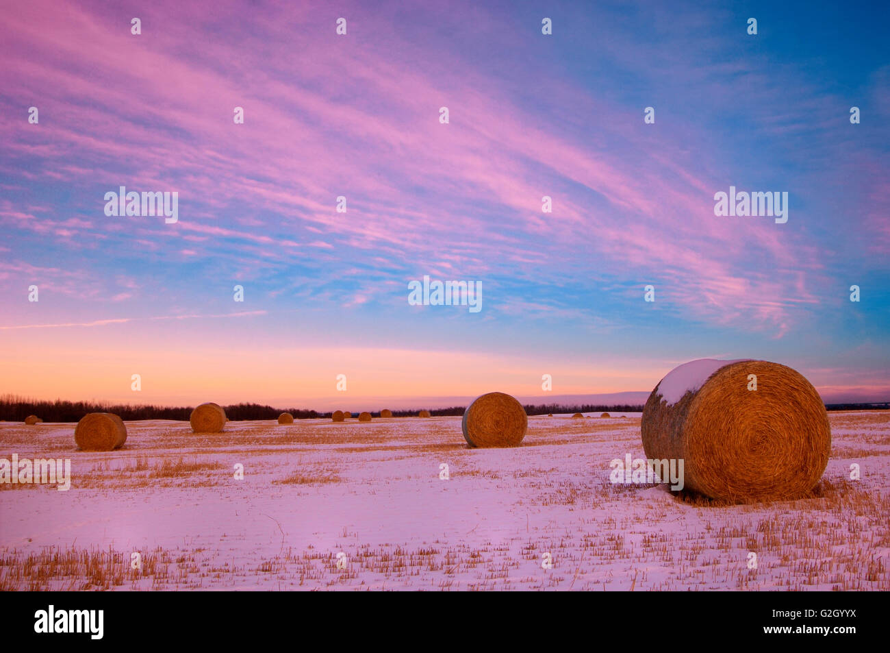 Les balles et les nuages au coucher du soleil, Stony Plain, Alberta, Canada Banque D'Images