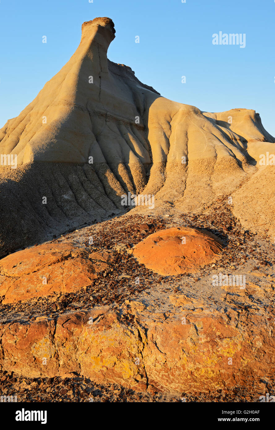 Formations badlands au lever du soleil, le parc provincial Dinosaur en Alberta Canada Banque D'Images