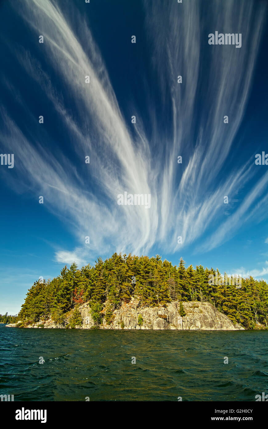 Le pin blanc (Pinus storbi) et mare's tail nuages sur Crow (lac Kakagi) près de Nestor Falls Ontario Canada Banque D'Images