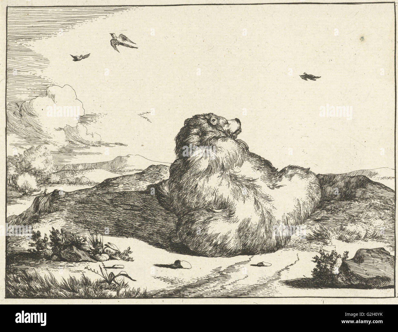 Ours, Marcus de Bye, Marcus Gerards I 1664 Banque D'Images