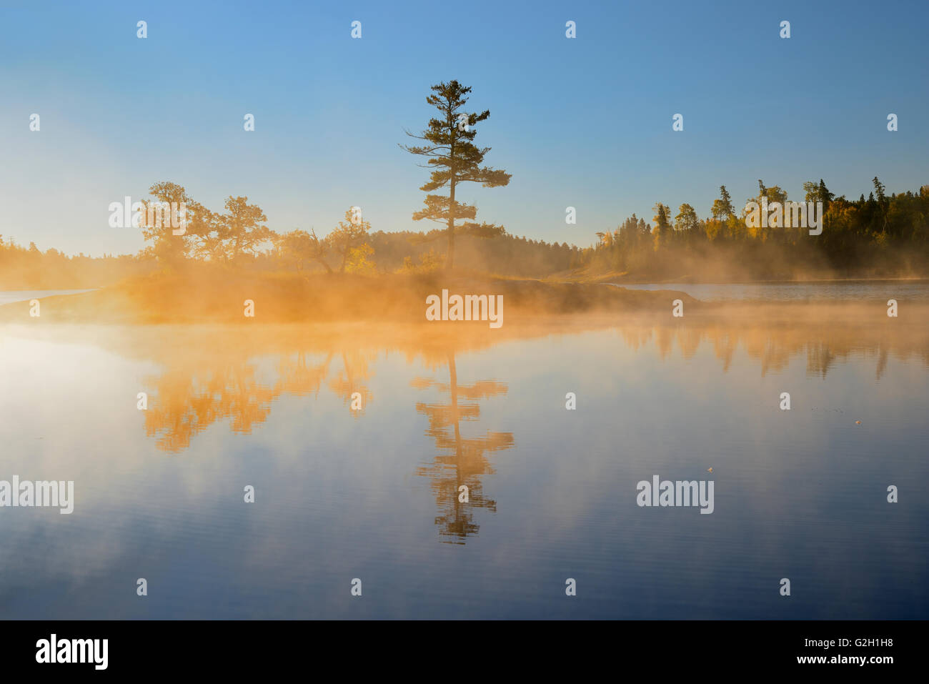 La réflexion sur l'arbre matin brouillard sur milieu Lac Kenora Ontario Canada Banque D'Images