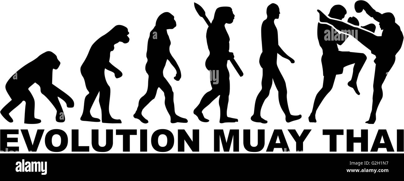 Évolution de Muay Thai Banque D'Images