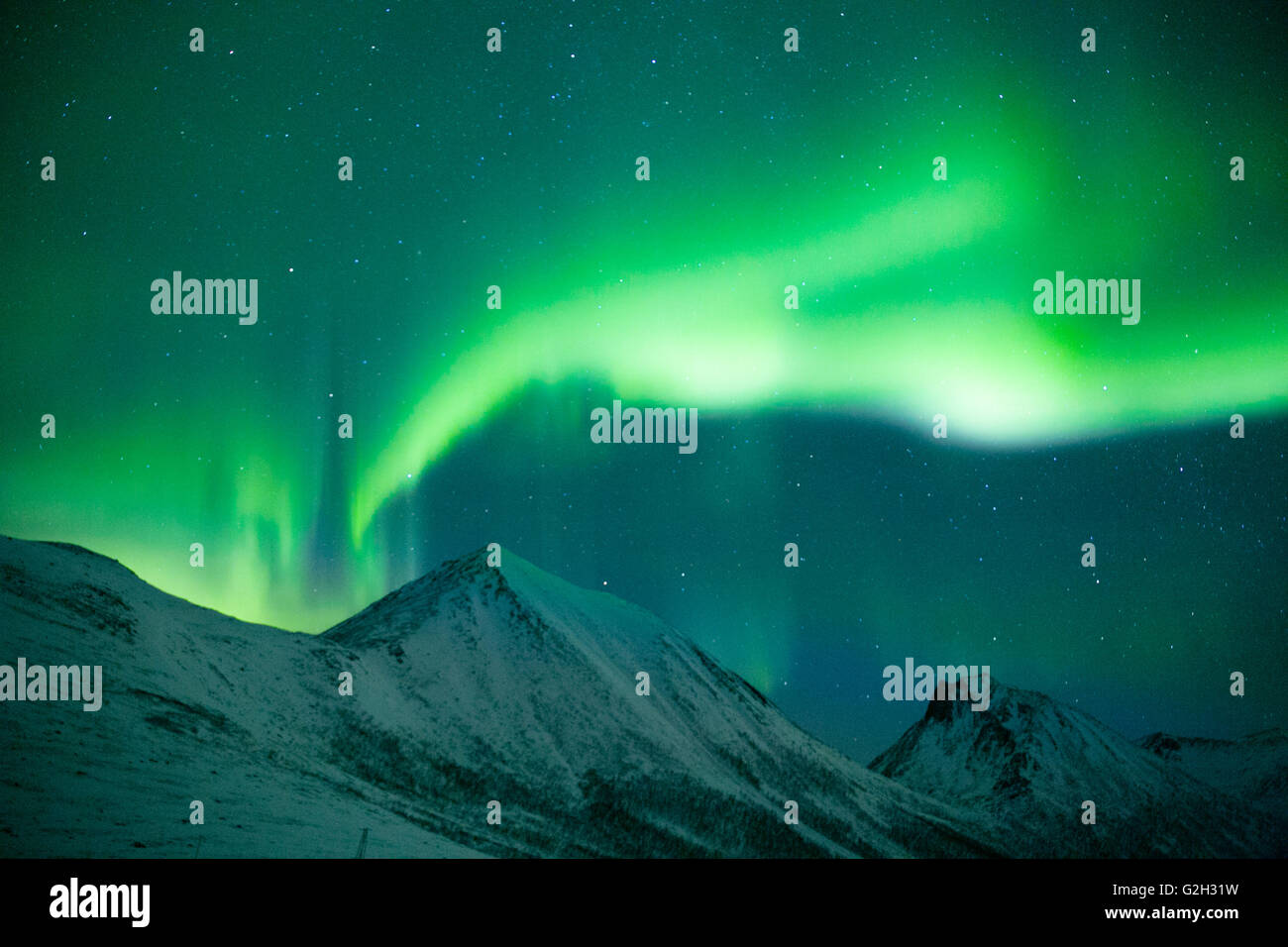 L'observation des aurores boréales dans l'île de Kvaloya, Tromso, Norvège. Nous avons eu un incroyable avec le ciel tout ce qu'il par les feux verts. Banque D'Images
