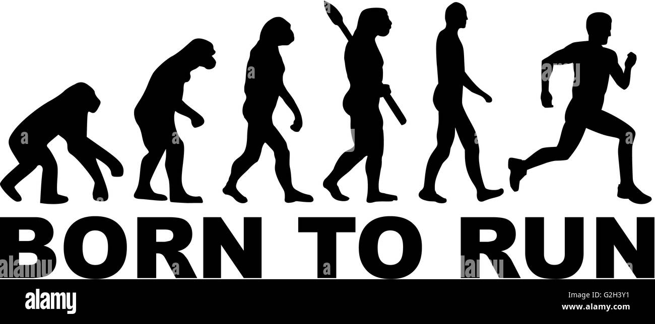 Né à terme Évolution Banque D'Images