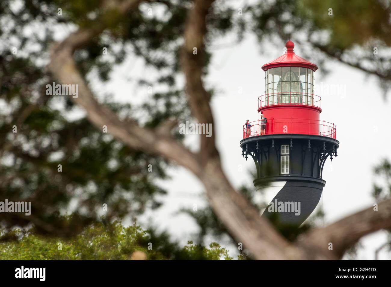 Le quartier historique de Saint Augustine, Floride phare vu à travers les arbres sur l'Île Anastasia. (USA) Banque D'Images