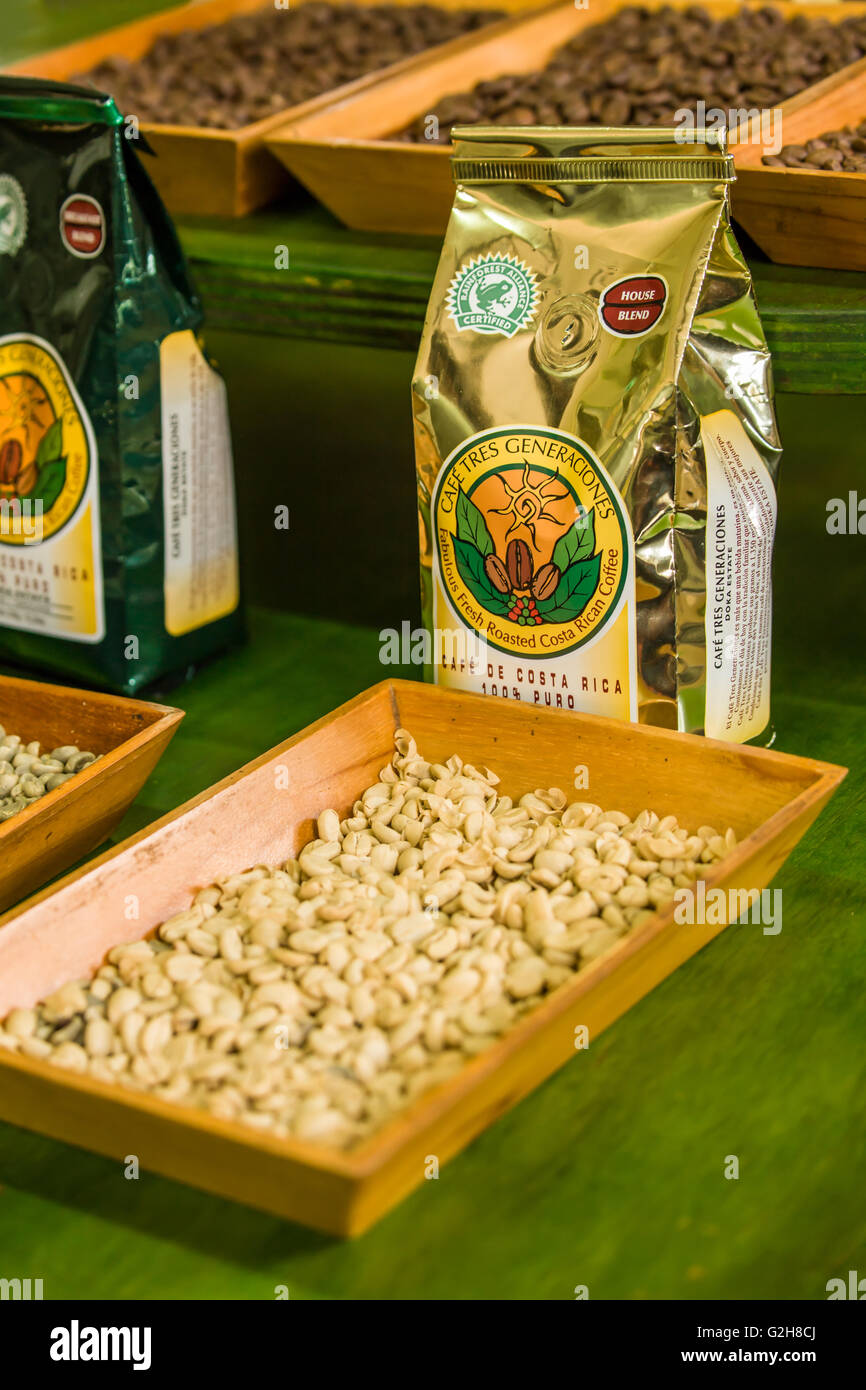 Torréfié frais grains de café du Costa Rica, disponibles à la vente à la Café Doka Estate, Costa Rica Banque D'Images