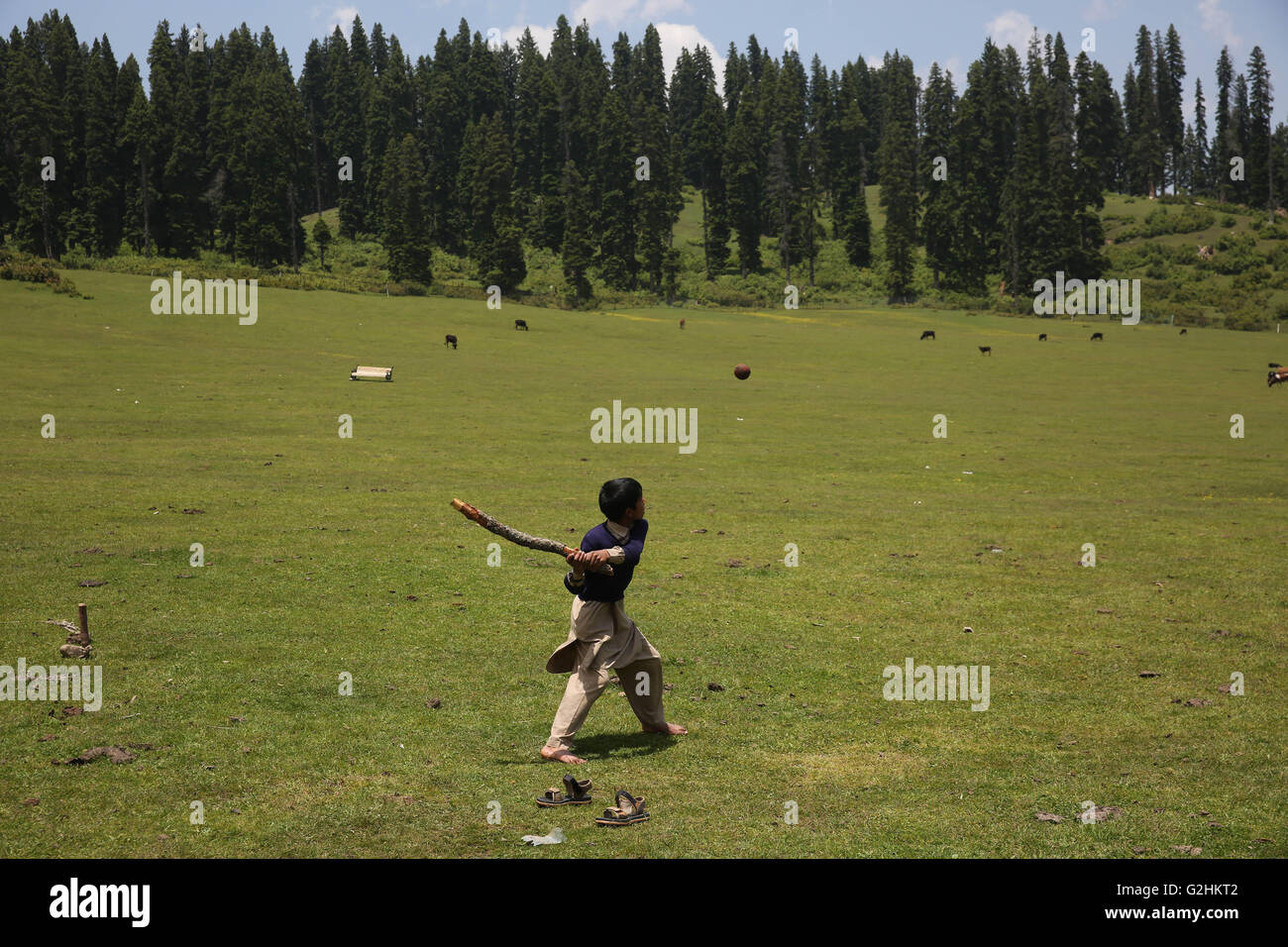 Srinagar. 29 mai, 2016. Un nomade garçon joue au cricket Doodhpathri Vallée, où sa famille s'installent pour la saison estivale pour le pâturage, dans la région du Cachemire contrôlé-le 29 mai 2016. © Javed Dar/Xinhua/Alamy Live News Banque D'Images