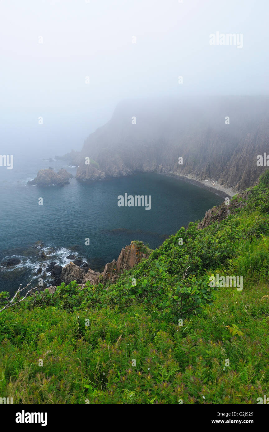 Côte Rocheuse dans le brouillard de l'île Grand Manan, Nouveau-Brunswick Canada Banque D'Images