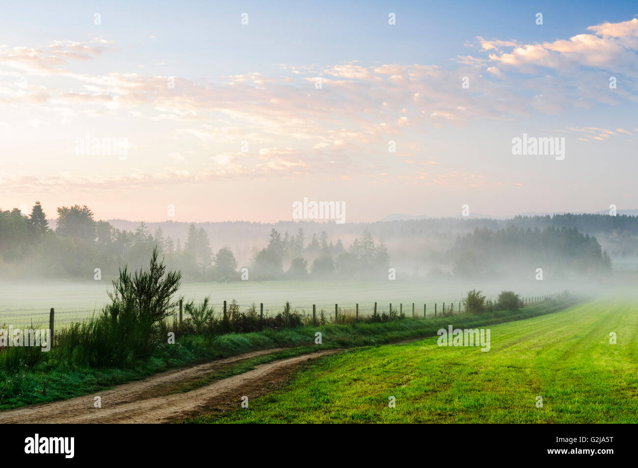 Un chemin de terre et un champ avec du brouillard en Cobble Hill (Colombie-Britannique). Banque D'Images