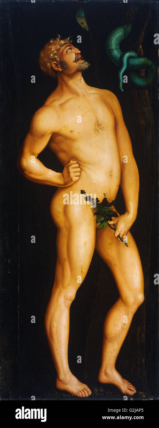 Hans Baldung Grien - Adam - Musée des beaux-arts, Budapest Banque D'Images