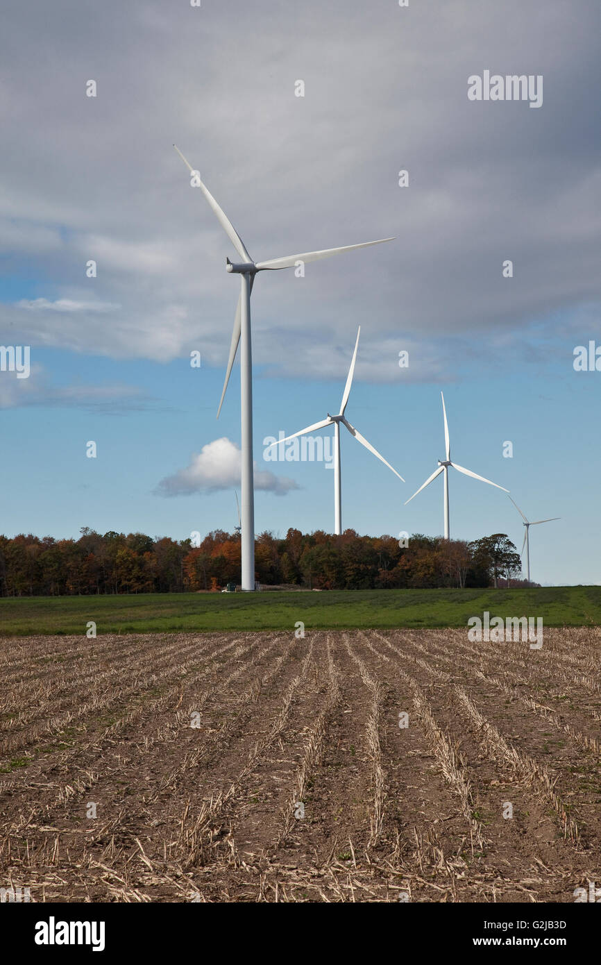 Les moulins à vent dans les terres agricoles du sud-ouest de l'Ontario (près du lac Érié), l'Ontario, Canada. Banque D'Images