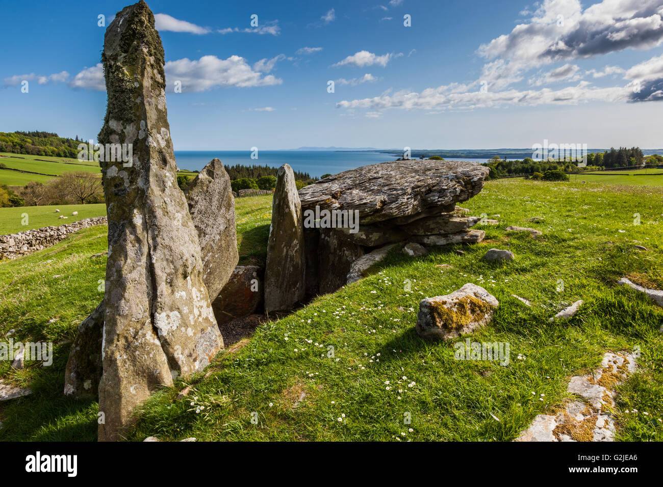Chambre près de Carsluith Cairnholy J, Dumfries et Galloway, Écosse Banque D'Images