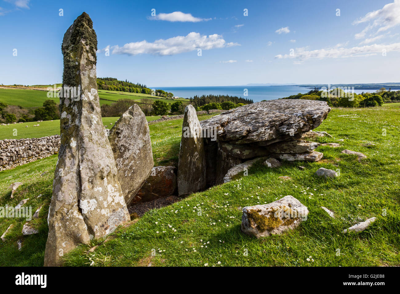 Chambre près de Carsluith Cairnholy J, Dumfries et Galloway, Écosse Banque D'Images