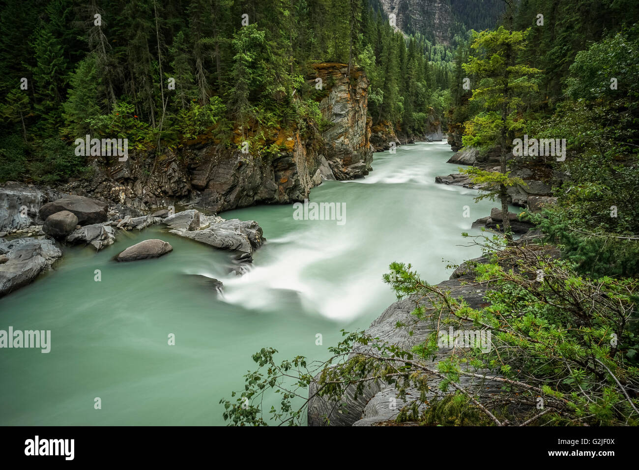 Le fleuve Fraser à Overlander Falls Trail, le parc provincial du mont Robson, près de Valemount, en Colombie-Britannique, au nord Thompson Banque D'Images