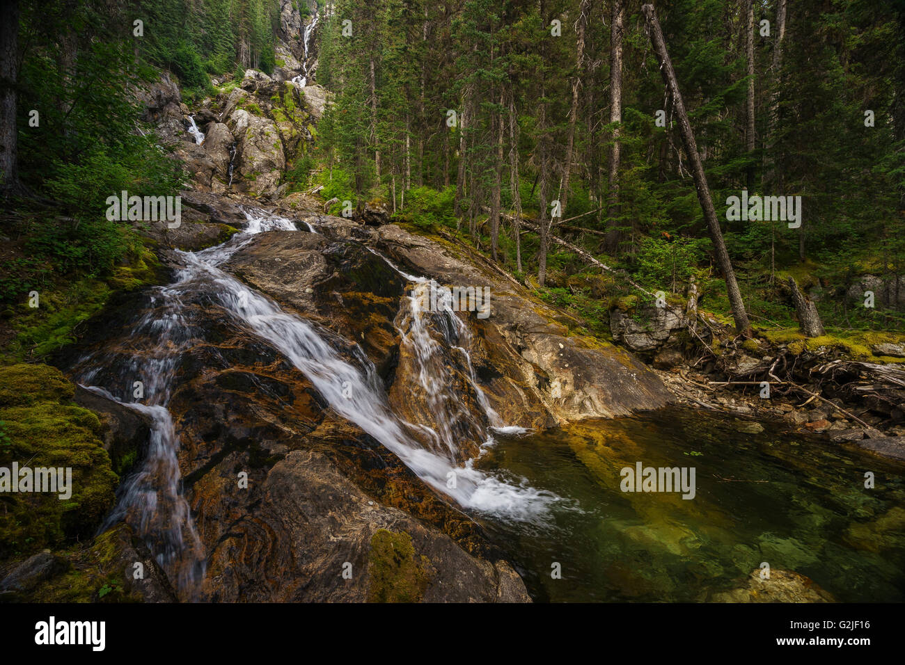 Pointe argentée Falls, parc provincial Wells Gray, North Thompson, près de Clearwater, Colombie-Britannique, Canada Banque D'Images