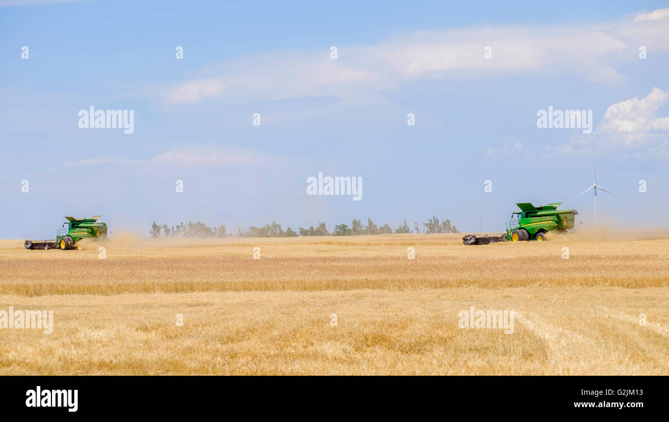 Deux moissonneuses-batteuses John Deere récoltes de blé dans l'Oklahoma, USA. En arrière-plan de l'éolienne. Banque D'Images