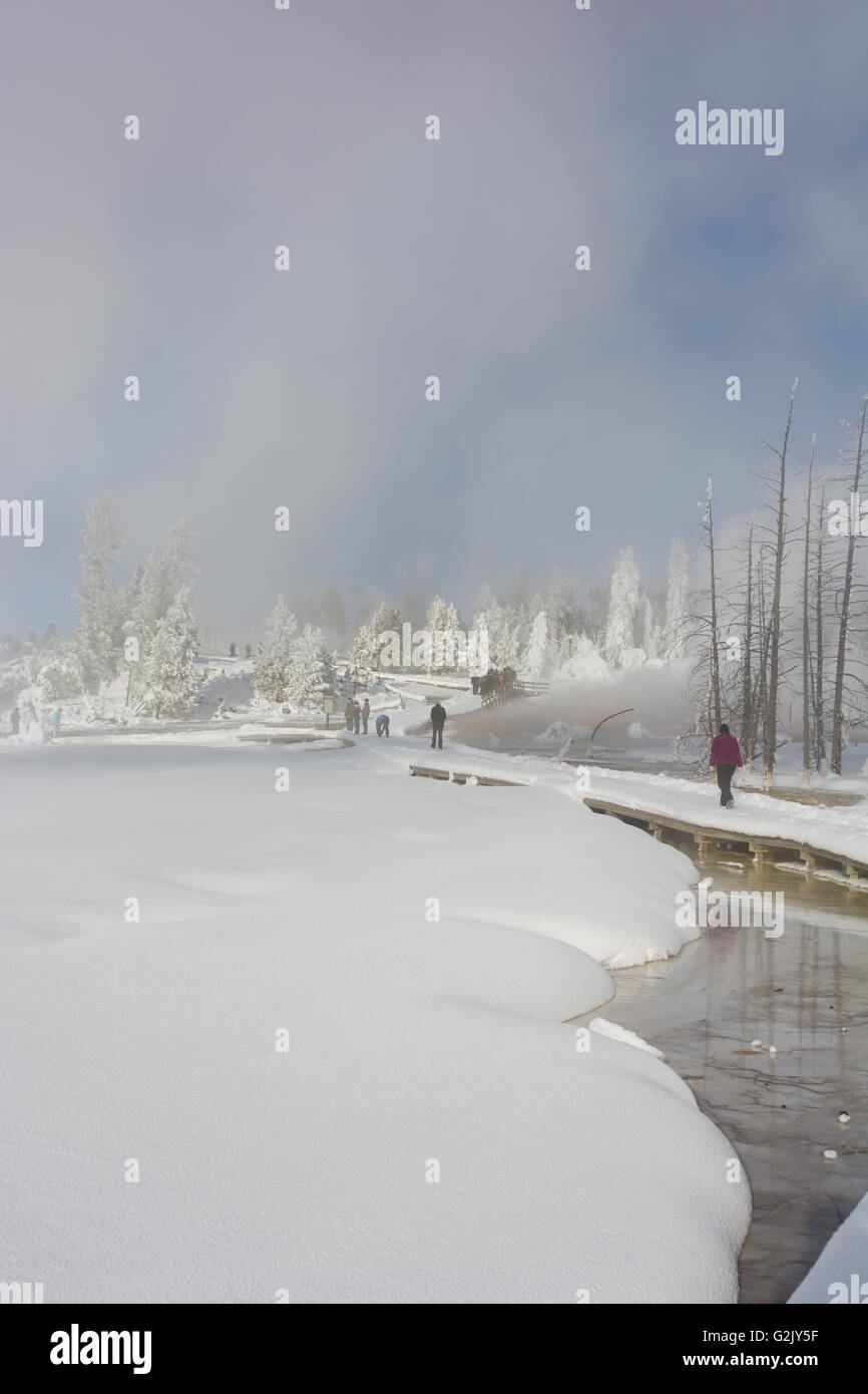 La vapeur s'élève du geyser dans Midway Geyser Basin. Le Parc National de Yellowstone. Banque D'Images