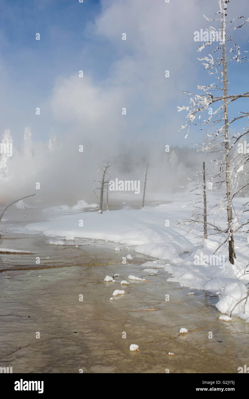 La vapeur s'élève du geyser dans Midway Geyser Basin. Le Parc National de Yellowstone. Banque D'Images