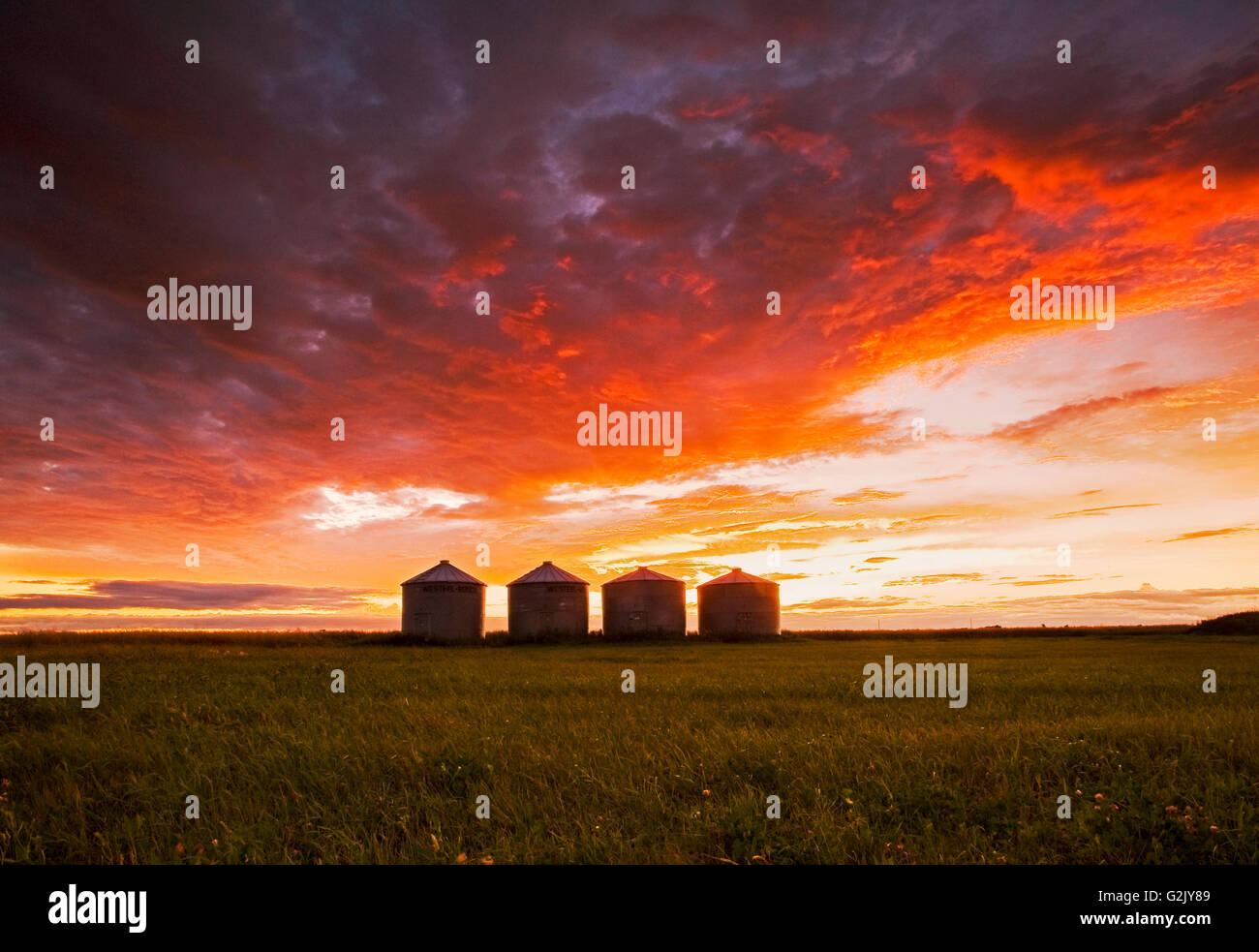Les cellules de stockage de céréales au coucher du soleil, près de Carey, Manitoba, Canada Banque D'Images