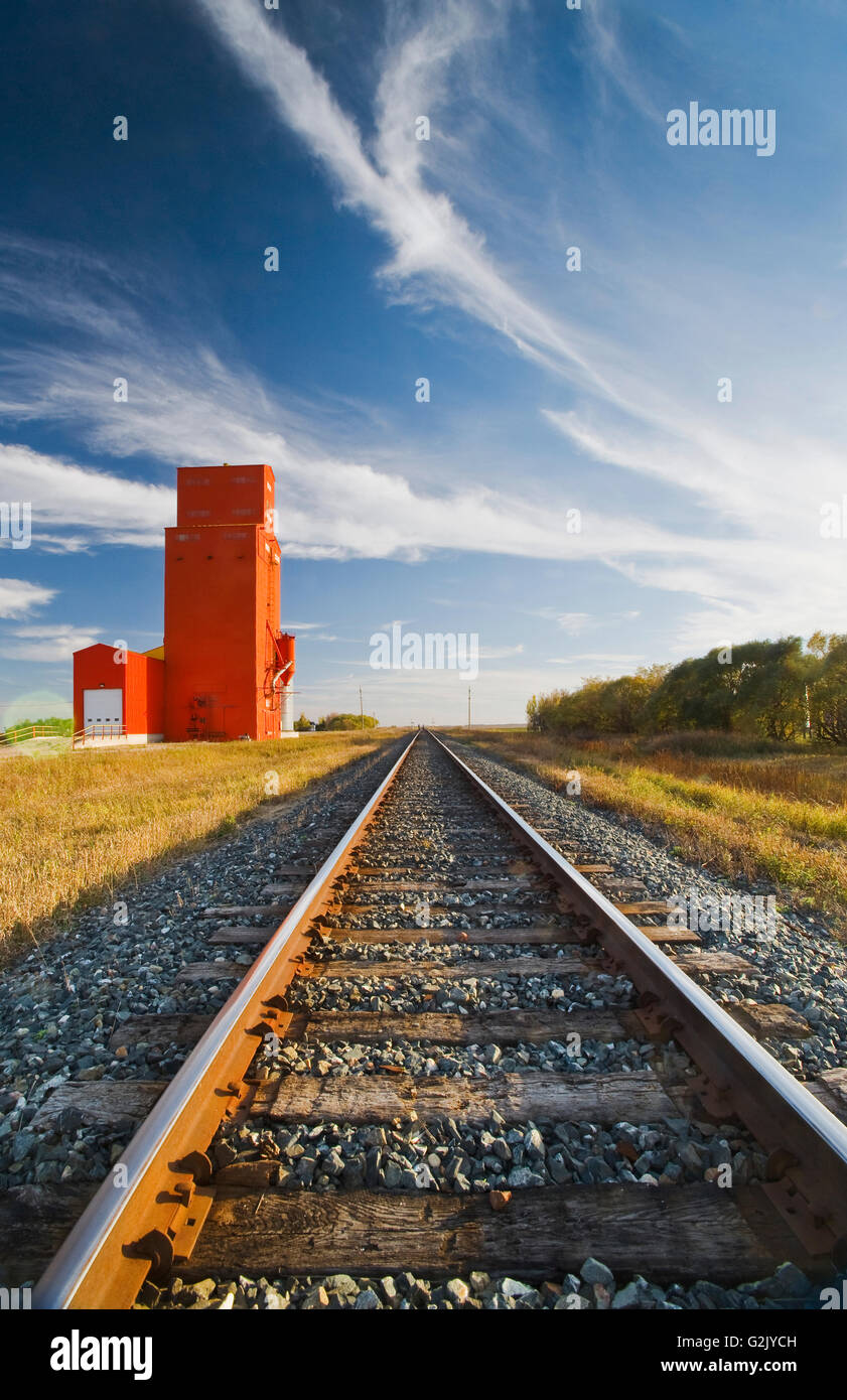 L'élévateur à grain et l'ancienne voie ferrée, Carey, Manitoba, Canada Banque D'Images