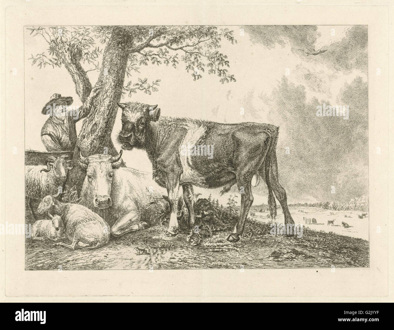 Taurus et agriculteur, Johannes Mock, Paulus Potter, 1825 Banque D'Images